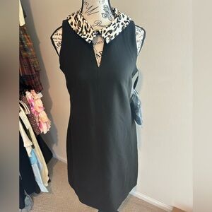 WHBM Removable Collar Black Dress with Animal Print Collar